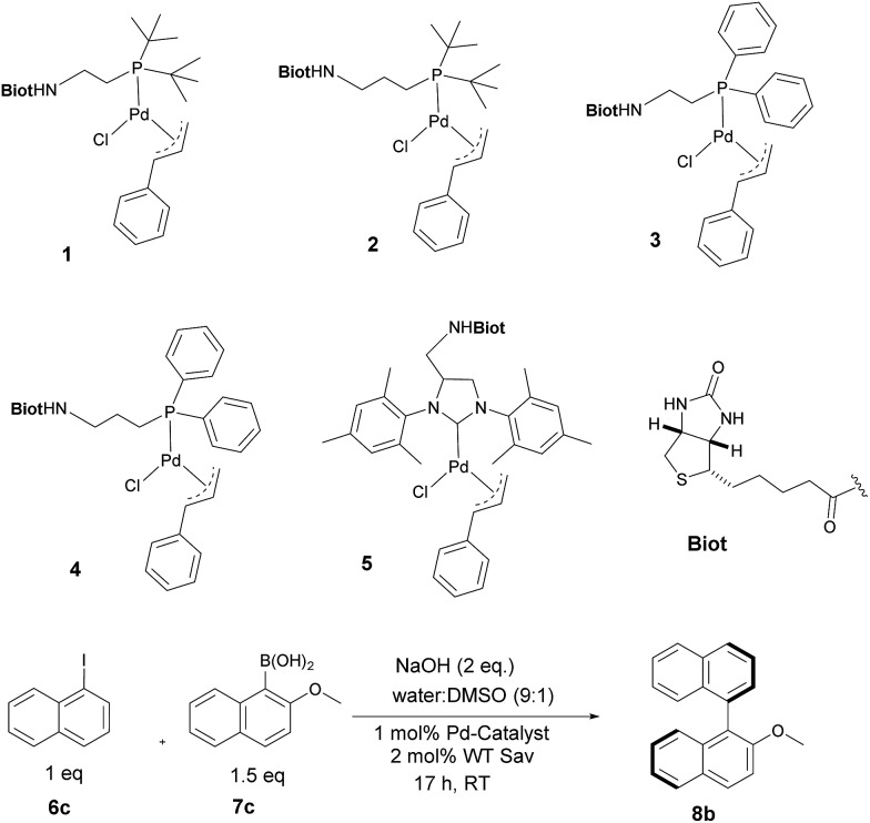 Scheme 1