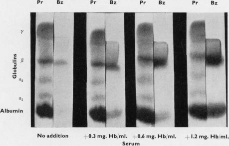 graphic file with name jclinpath00044-0017-a.jpg