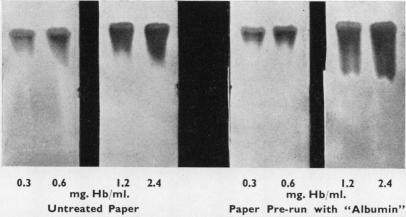 graphic file with name jclinpath00044-0015-a.jpg