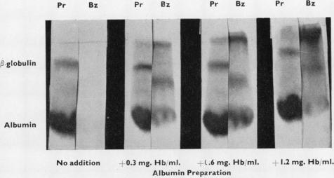 graphic file with name jclinpath00044-0021-a.jpg