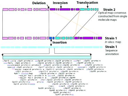 FIG. 2.