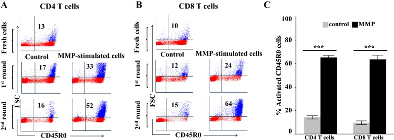 Figure 5