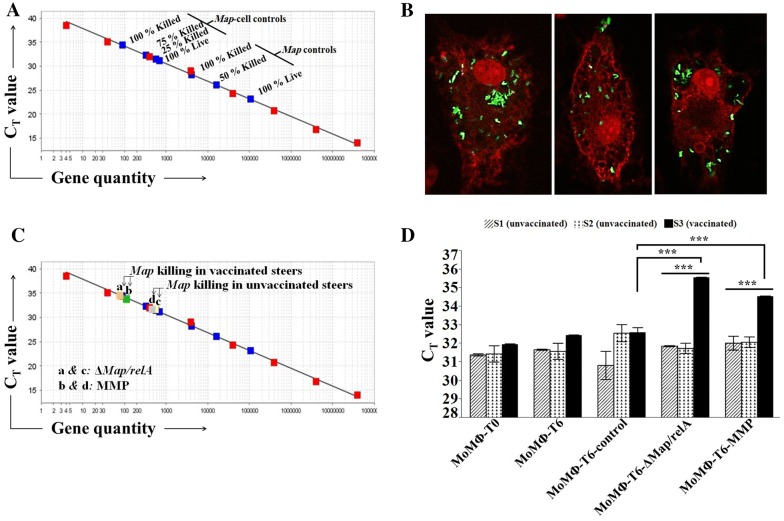 Figure 3