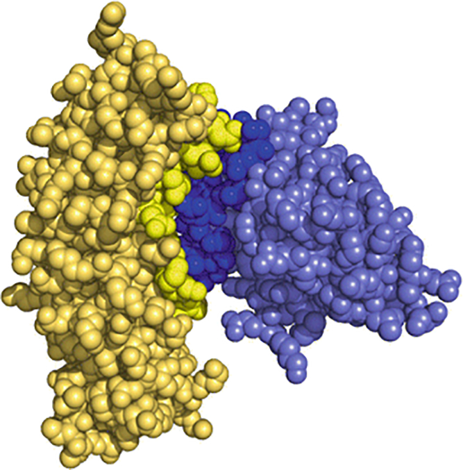 Fig 3.