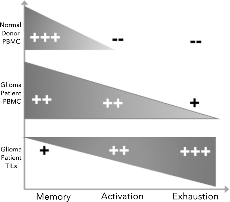 Figure 5: