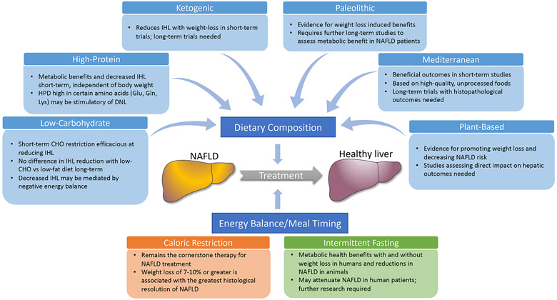 A fad too far? Dietary strategies for the prevention and treatment of ...