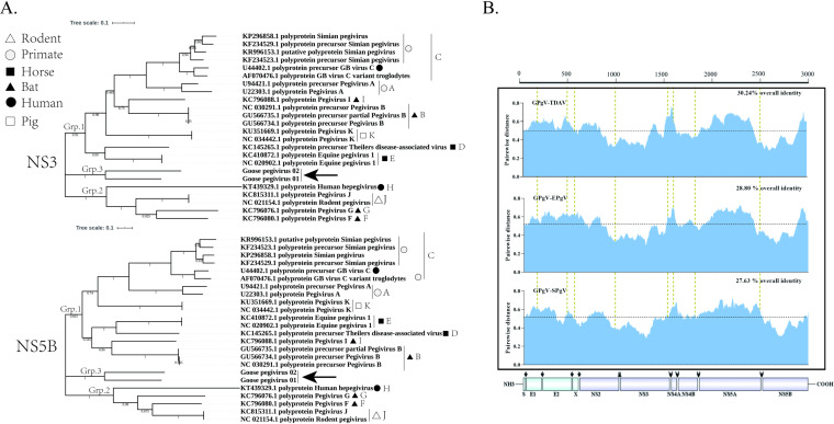 FIG 3