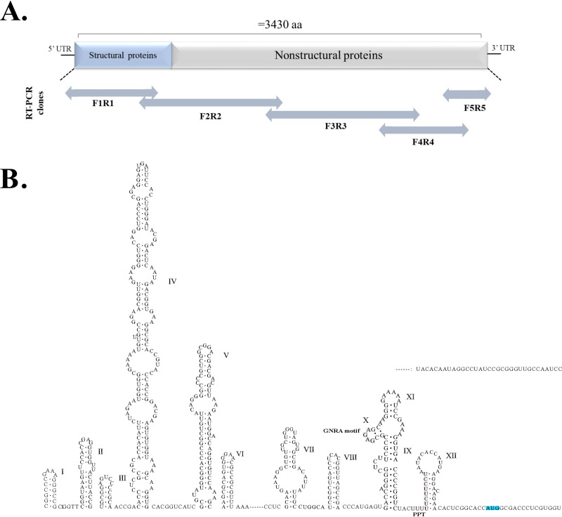 FIG 1