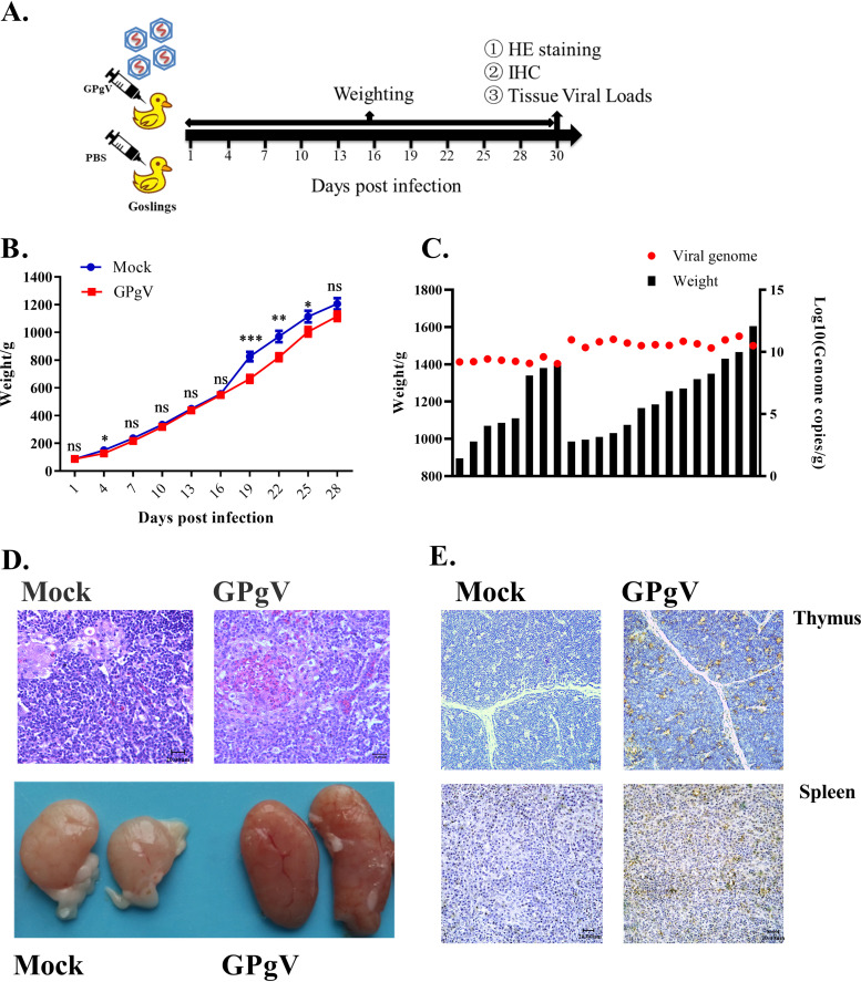 FIG 4