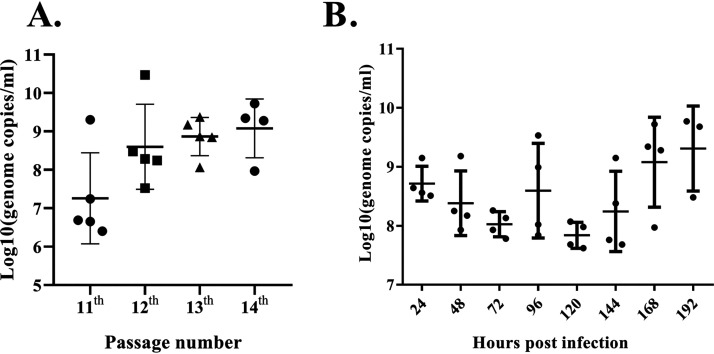 FIG 6