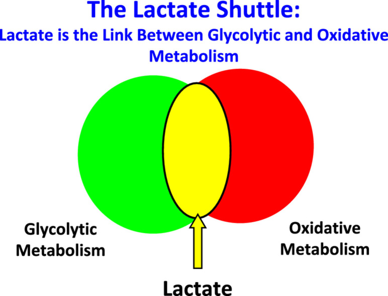 Image, graphical abstract