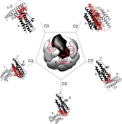 Figure 4.