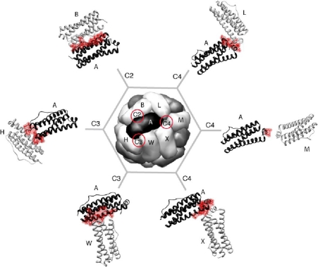 Figure 2.