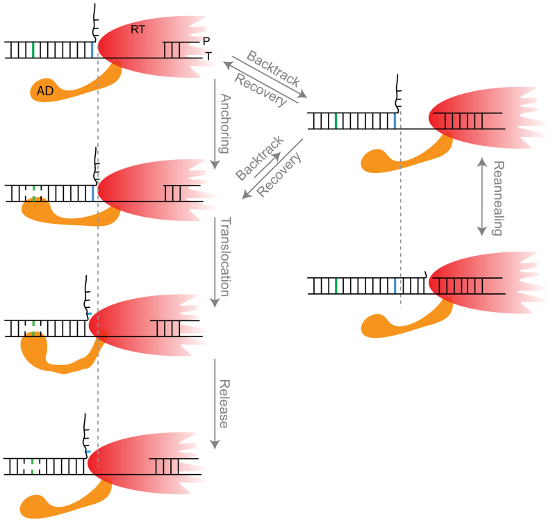 Figure 7.