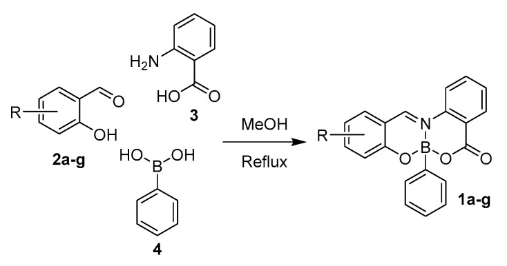 Scheme 1