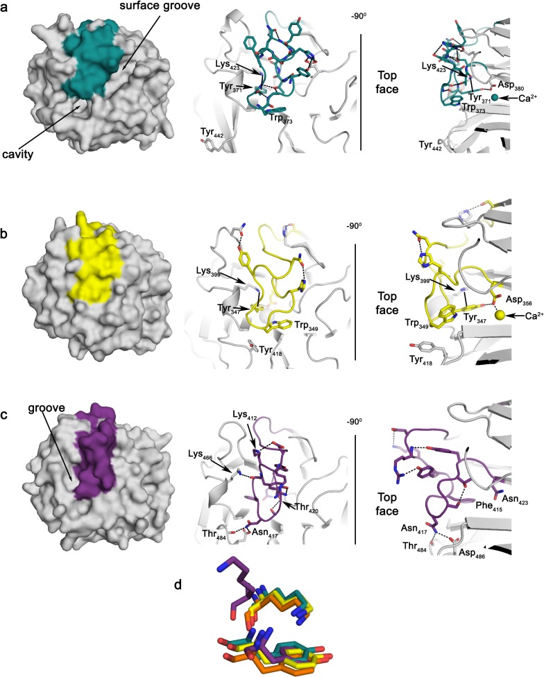 Fig 3