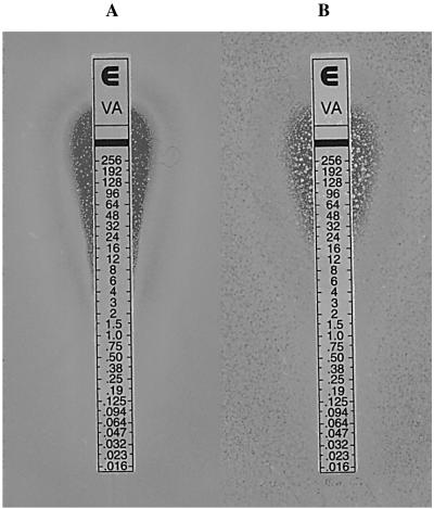 FIG. 5.