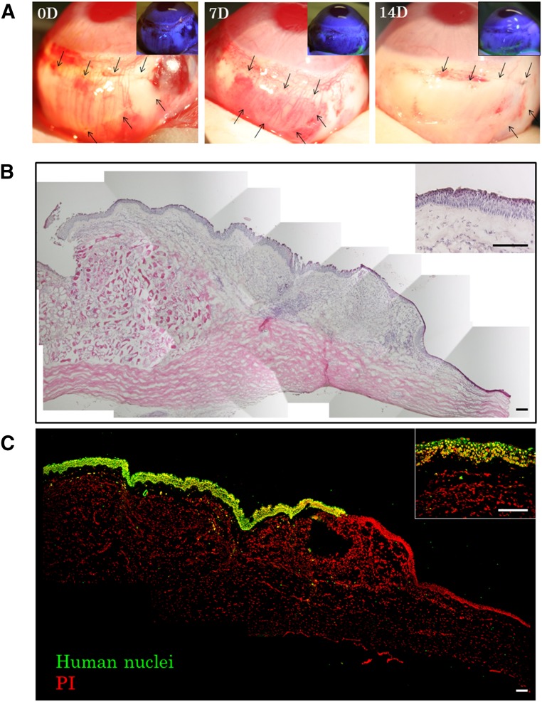 Figure 5.