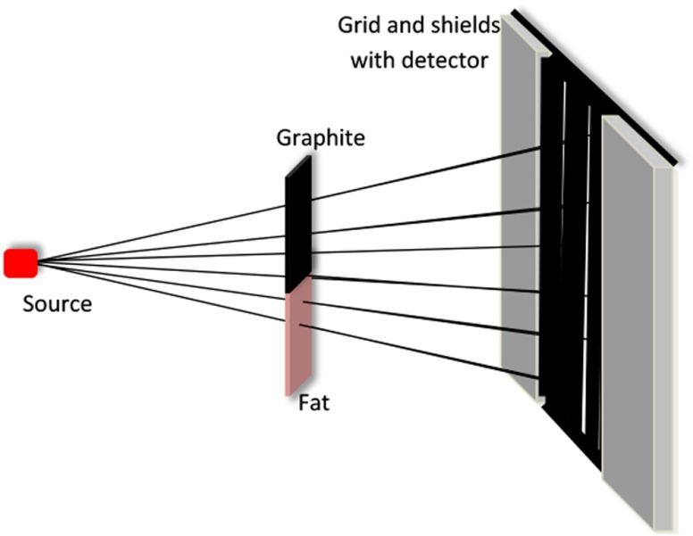 Fig. 12