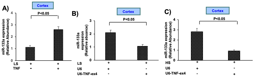 Figure 4: