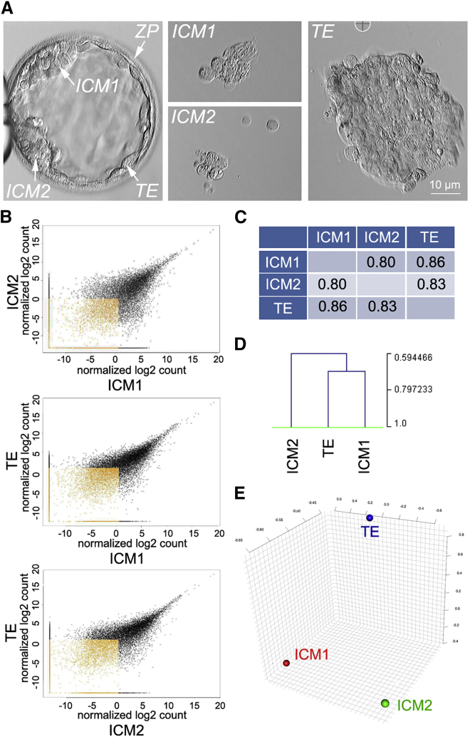 Figure 1