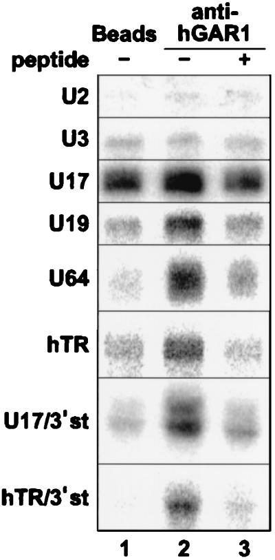 FIG. 8