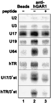 FIG. 8