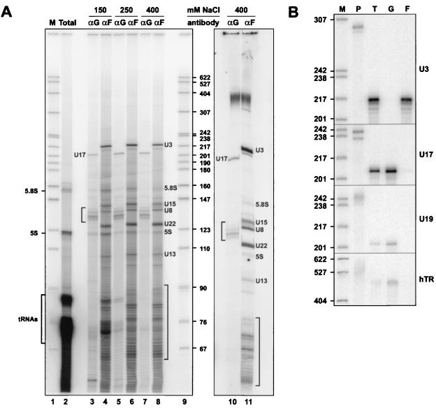 FIG. 7