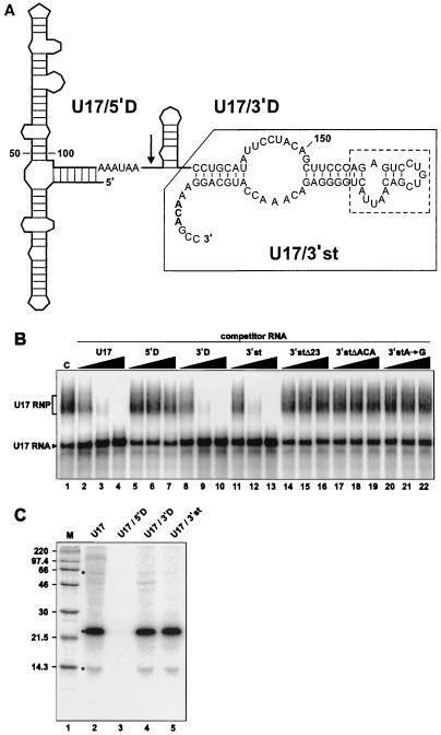 FIG. 3