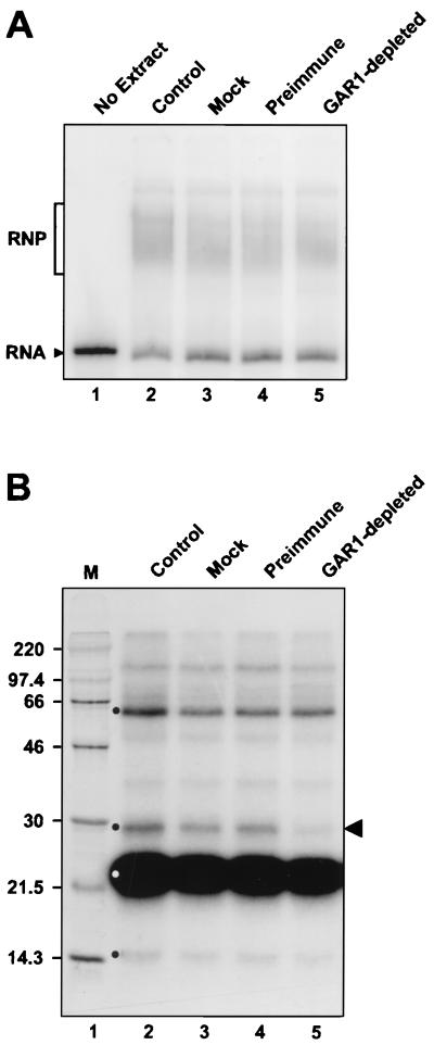 FIG. 9