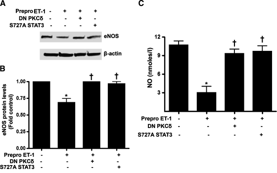 FIG. 7.