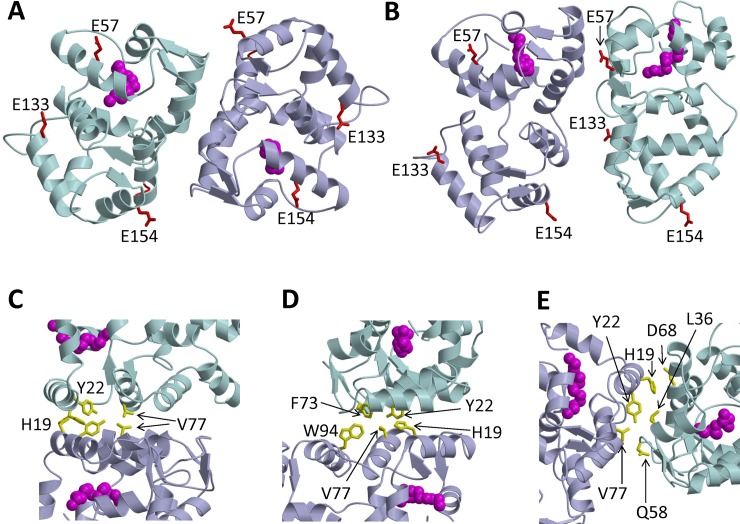 Fig 5