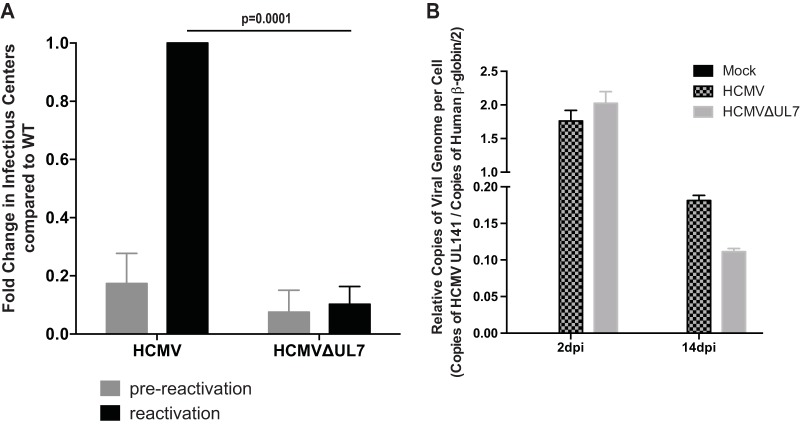 FIG 4 