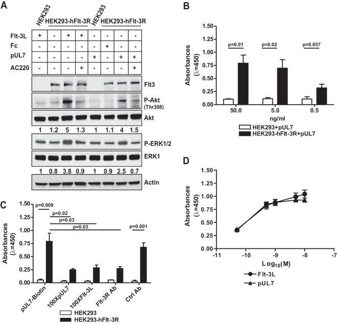 FIG 2 