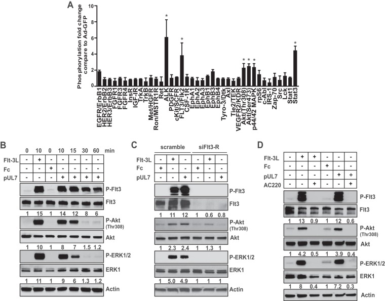 FIG 1 