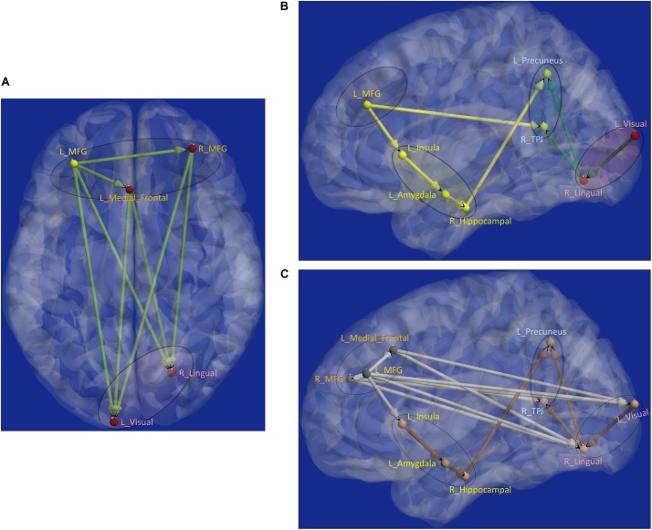 FIGURE 7