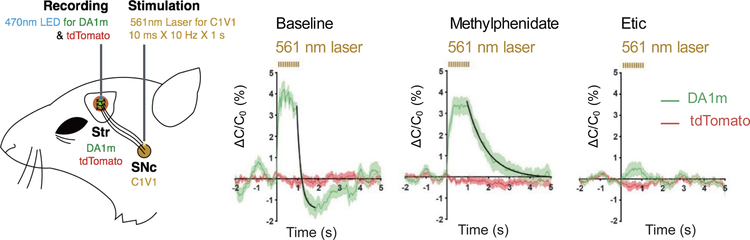 Fig. 4.