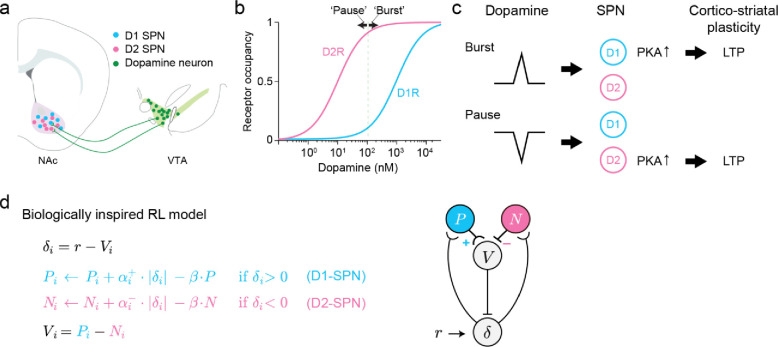 Figure 2 |