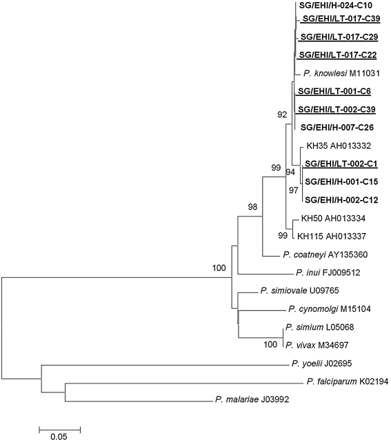 FIG. 1.