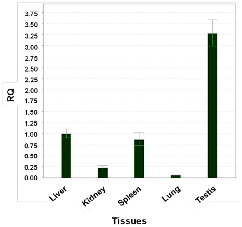 Figure 10