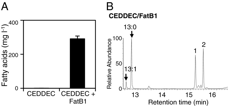 Fig. 5.