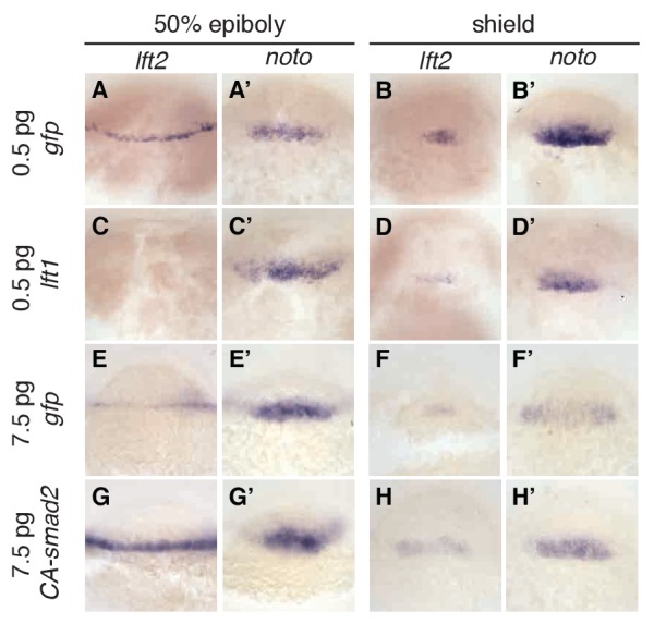 Figure 7.