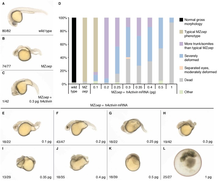 Figure 5—figure supplement 3.