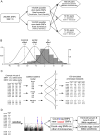 Figure 4—figure supplement 1.