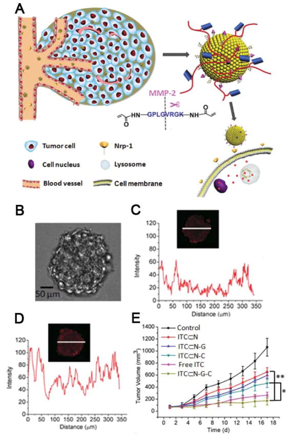 Fig 13