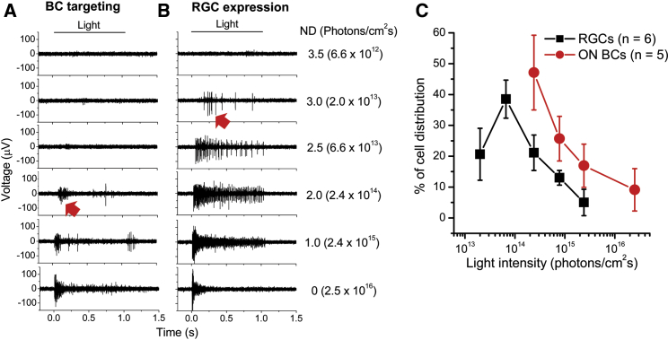 Figure 4