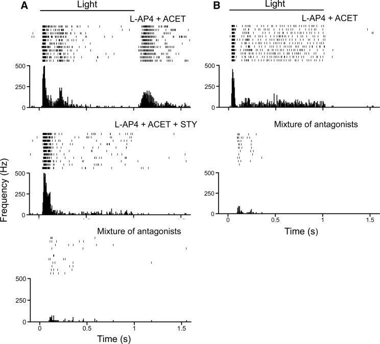 Figure 5