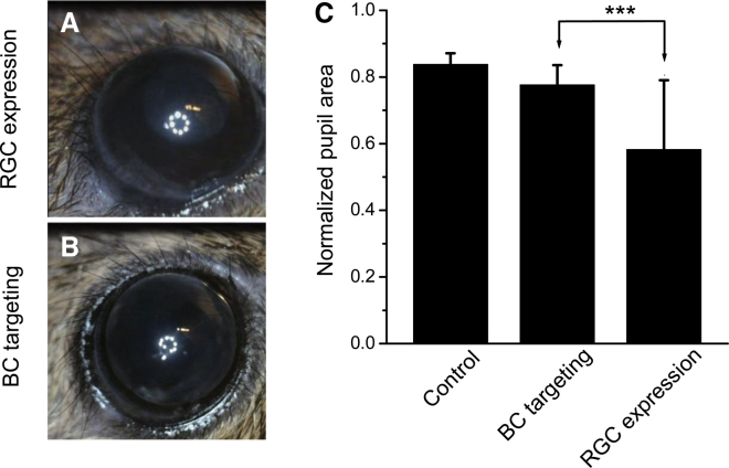 Figure 6