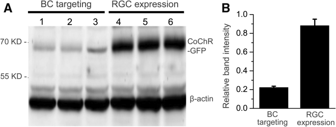 Figure 3