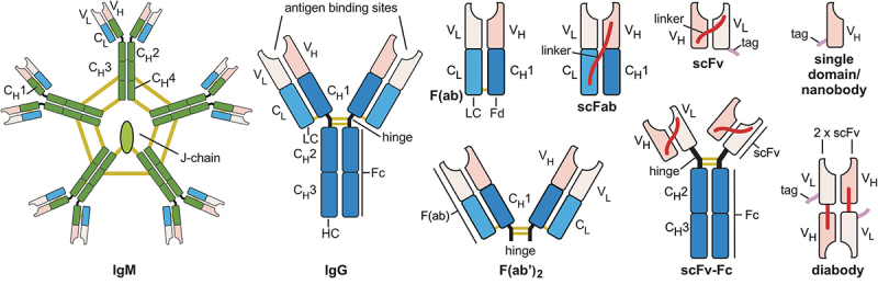 Figure 3.